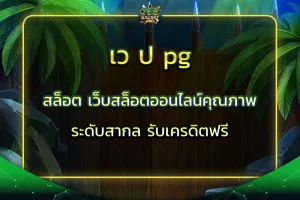 เว ป pg